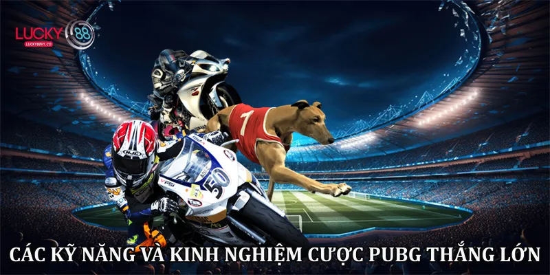 Các kỹ năng và kinh nghiệm cược Pubg thắng lớn