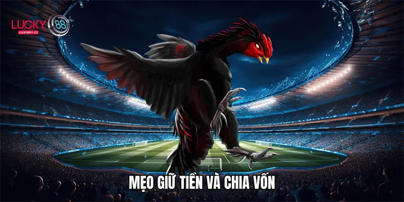 Mẹo giữ tiền và chia vốn