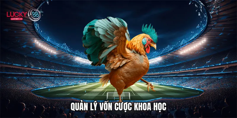 Quản lý vốn cược khoa học